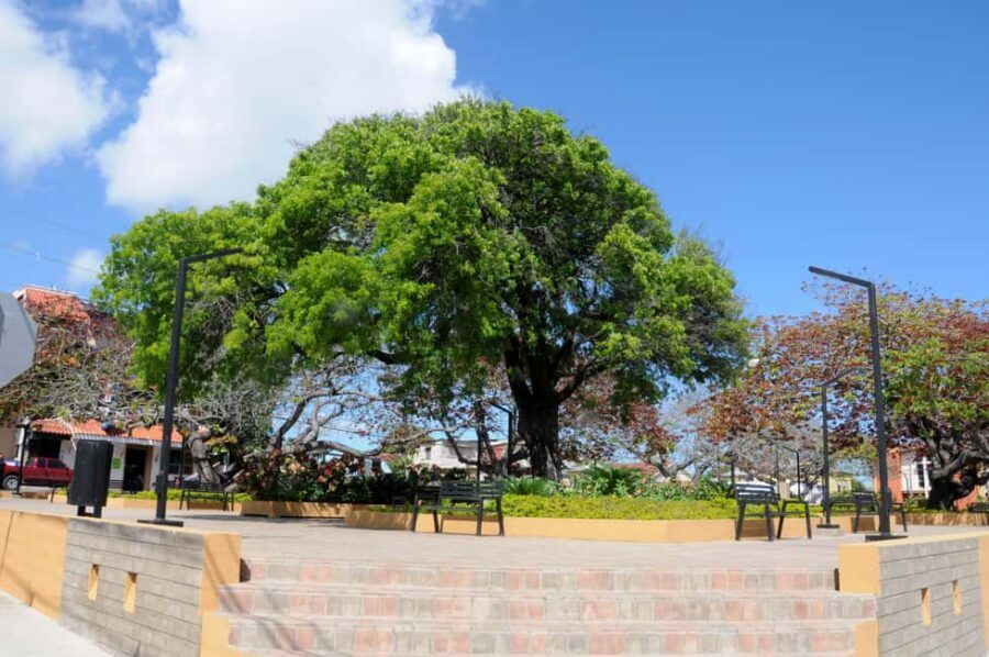 Puerto Plata City Tour and Cable Car Ride - Lunch Included: The Pace of a 6-Hour Day