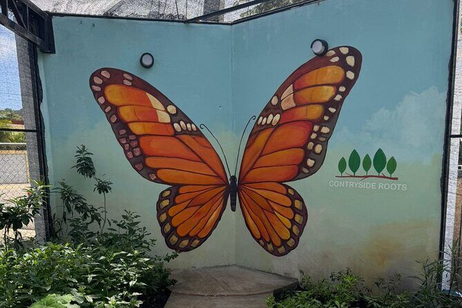 Puerto Plata City Tour with Butterfly Garden - A 4-hour mix of Puerto Plata city views and countryside calm