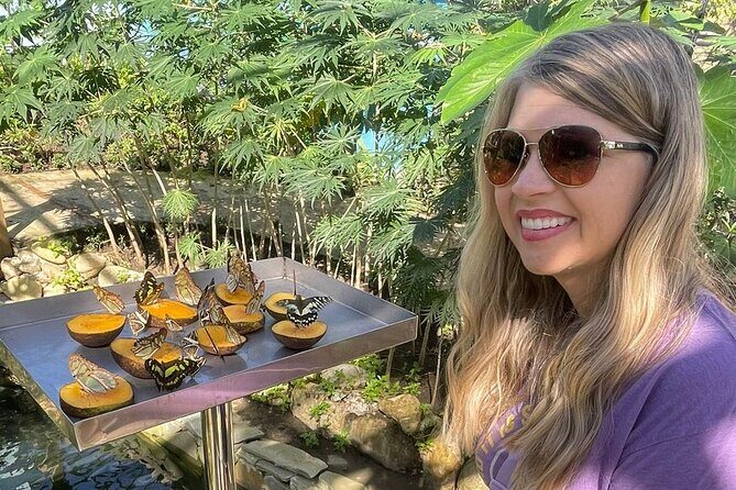 Puerto Plata City Tour with Butterfly Garden - Umbrella Street: the quick, colorful start that gets your bearings