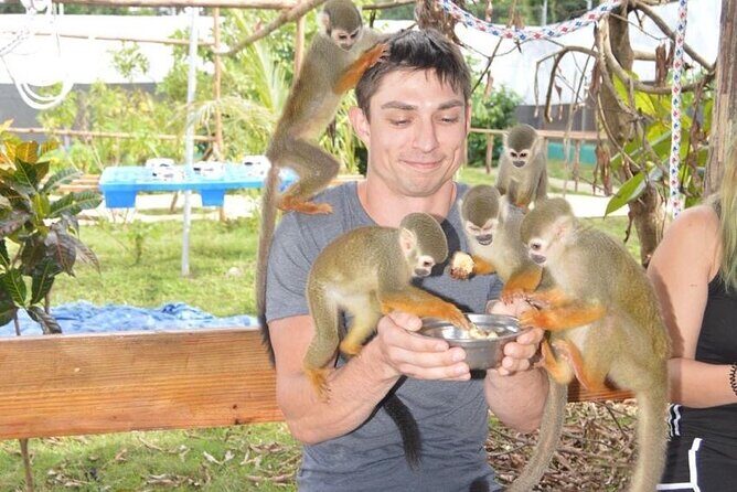 Puerto Plata City Tour with Monkeys - Key highlights