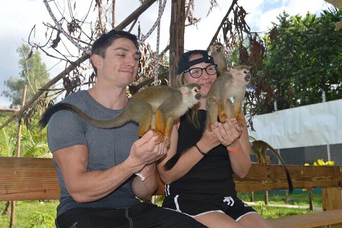 Puerto Plata City Tour with Monkeys - Pink Street and Central Park: The Walks That Make the City Feel Human