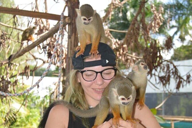 Puerto Plata City Tour with Monkeys - Seawall, Neptune Area, and Fortress San Felipe: Views With a Purpose