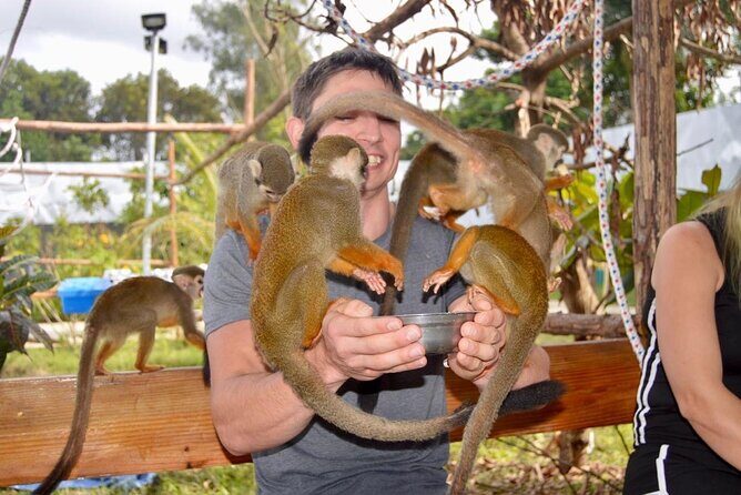 Puerto Plata City Tour with Monkeys - Time to Buy Gifts: A Useful Window, Not a Trap