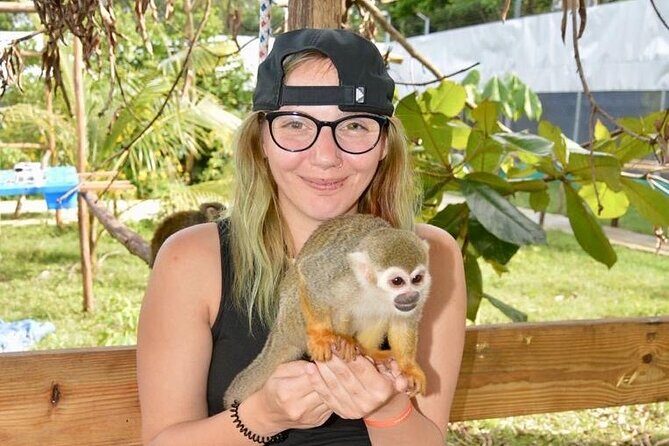 Puerto Plata City Tour with Monkeys - Rum at Macorís: Why the Factory Stop Is More Than Just a Sideshow