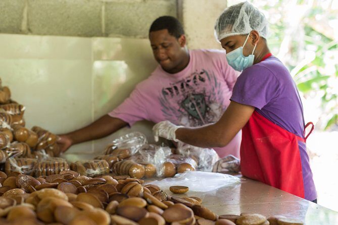 Puerto Plata: Escapada Cultural Tour in Puerto Plata - Tobacco plantation and artisanal cigars: learning the process