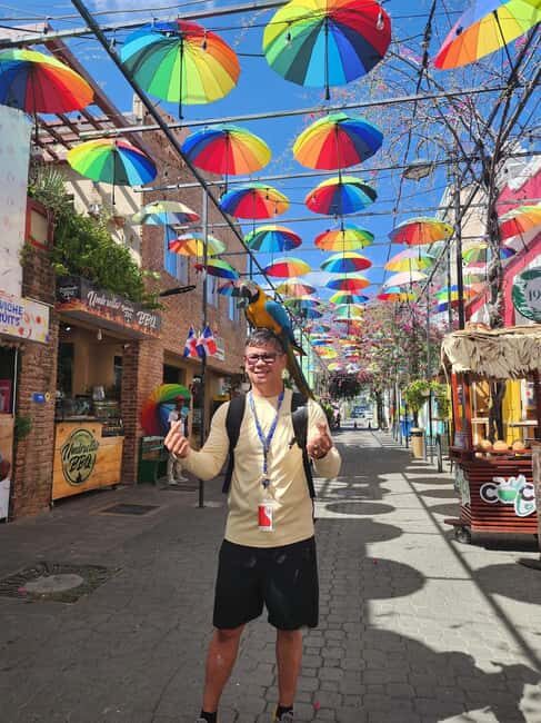 Puerto Plata: Monkey Tour, Fortress, and Historic Center - San Felipe Fortress: viewpoints plus real pirate-era context
