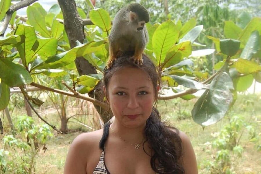 Puerto Plata: Monkey Tour, Fortress, and Historic Center - Price and value: what you get for $100 per person