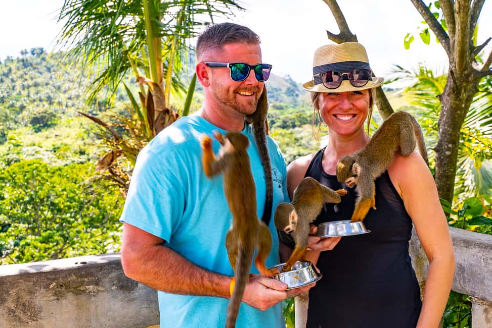 Puerto Plata: Monkeyland and Zip-Line Adventure - First Clip-In: The Safety Briefing and What Happens Before You Fly