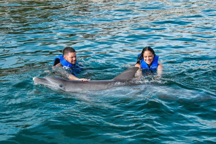 Puerto Plata: Ocean World Adventure Park Swim with Dolphins - Key points before you go