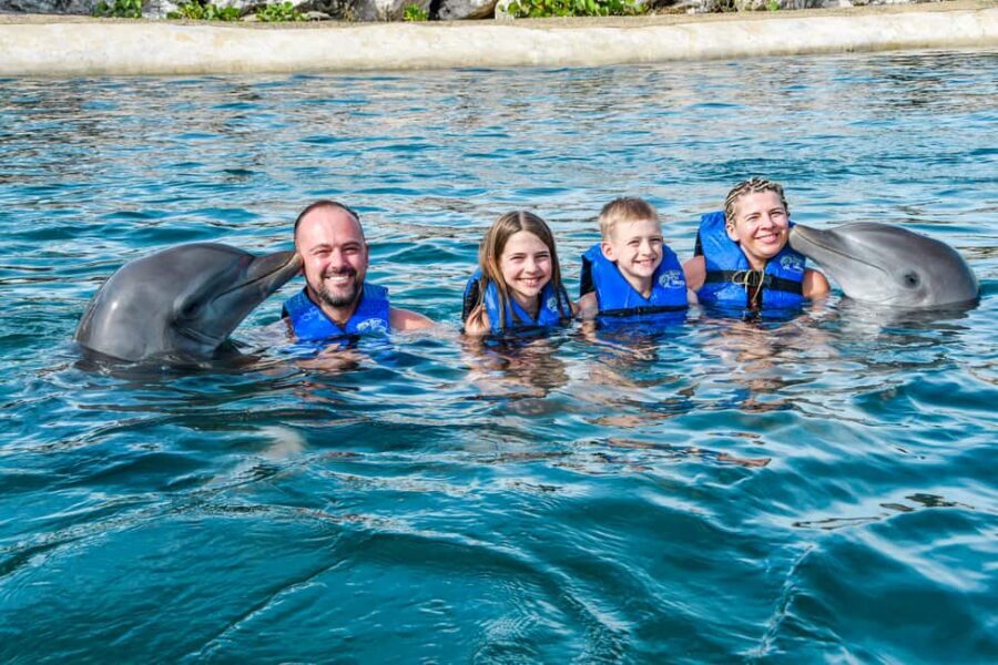 Puerto Plata: Ocean World Adventure Park Swim with Dolphins - Getting to the park: timing, pickup, and what to bring