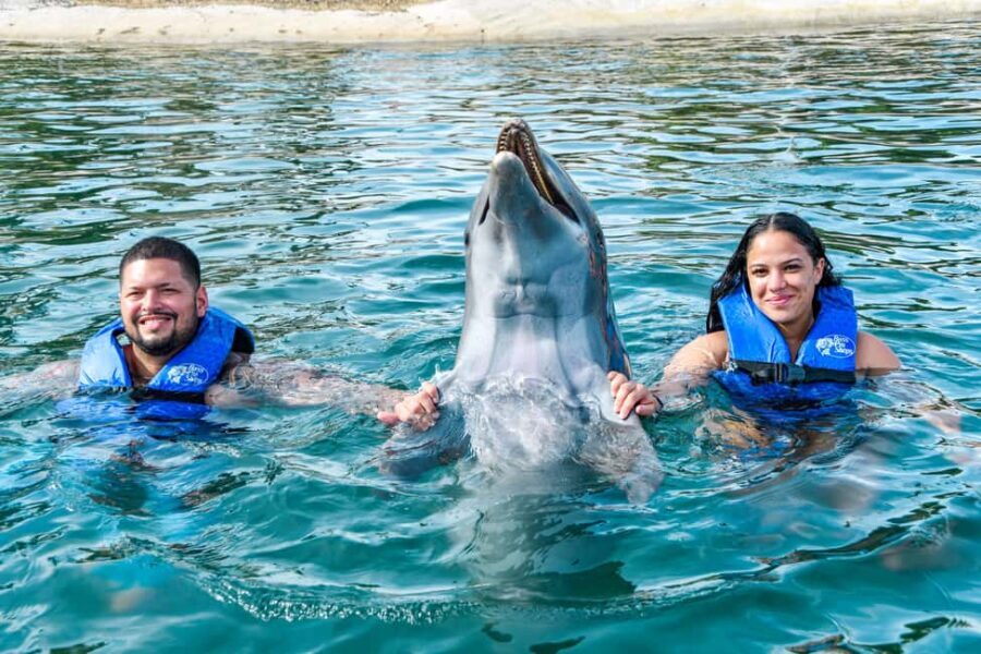 Puerto Plata: Ocean World Adventure Park Swim with Dolphins - Inside Ocean World Puerto Plata: what makes it worth the money