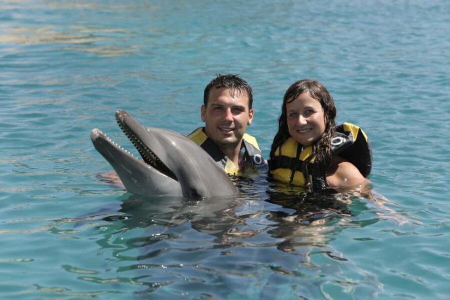 Puerto Plata Ocean World Dolphin Swim - Key highlights worth planning for
