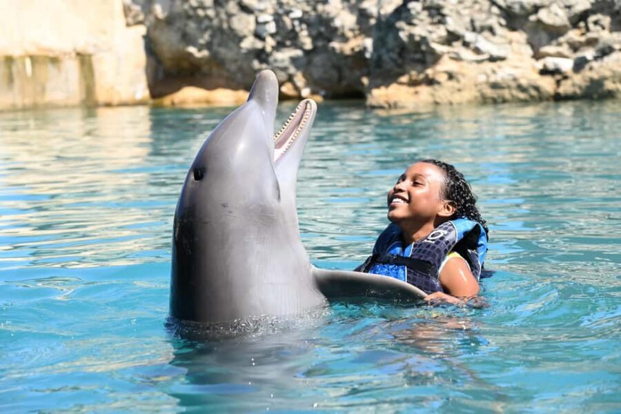 Puerto Plata Ocean World Dolphin Swim - Puerto Plata’s Ocean World Lagoon: what the experience is really about