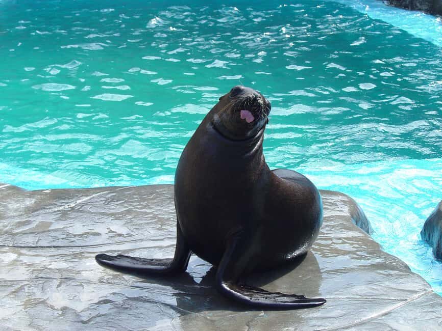 Puerto Plata Ocean World Tickets - 5 key things to know before you go