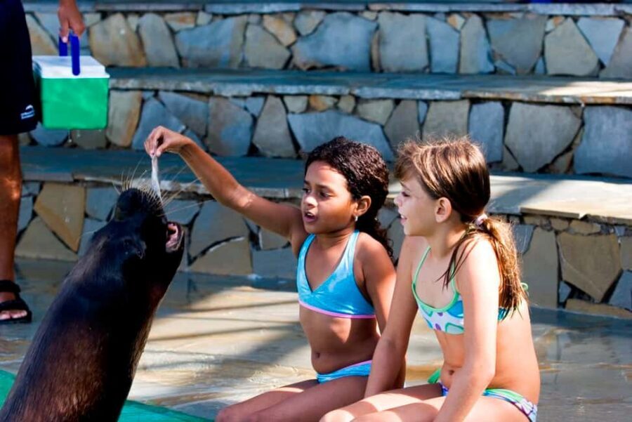 Puerto Plata Ocean World Tickets - Ocean World at Cofresi: what this day feels like