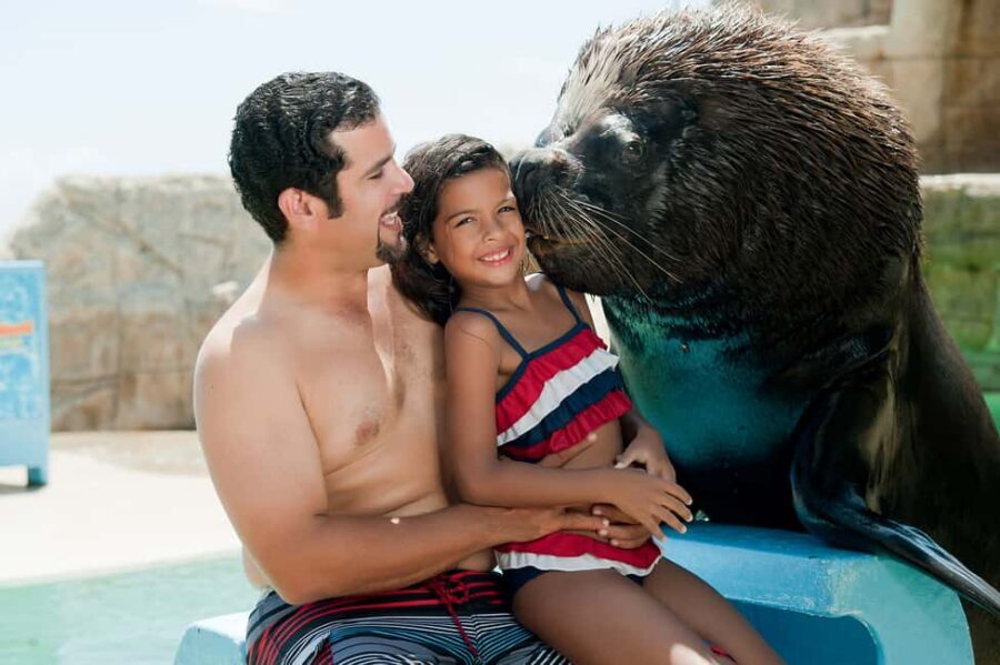 Puerto Plata Ocean World Tickets - The Patagonian sea lion encounter: the main event