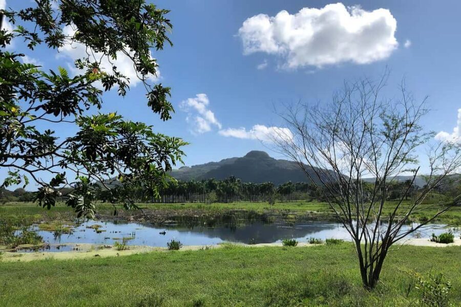 Puerto Plata Off-Road ATV Adventure - Saltwater Pool Time: What It Does for Your Body (and Your Day)