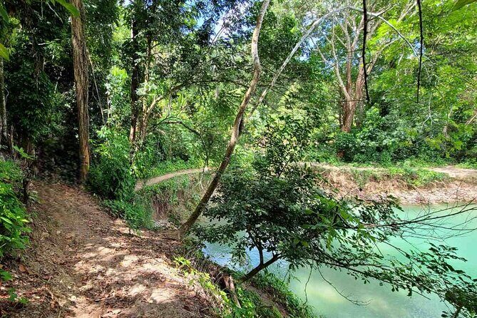 Puerto Plata Rejoya River Excursion Amber Cove Taino Bay Hotels - Who this excursion fits best