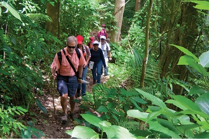 Puerto Plata Rejoya River Excursion Amber Cove Taino Bay Hotels - Getting to the start: the 7:00 am plan that actually helps