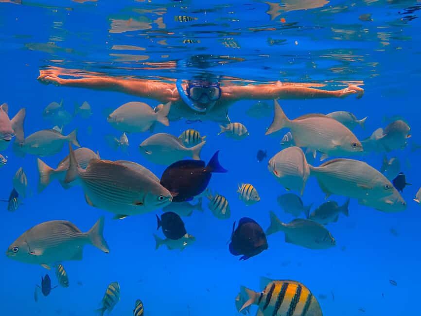 Puerto Plata: Snorkeling Excursion to Sosúa beach - Key things that make this snorkeling trip worth your time