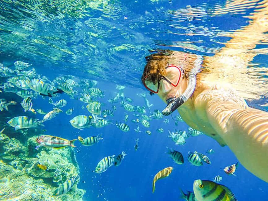 Puerto Plata: Snorkeling Excursion to Sosúa beach - Sosúa Bay snorkeling: why Puerto Plata’s reefs fit a half-day