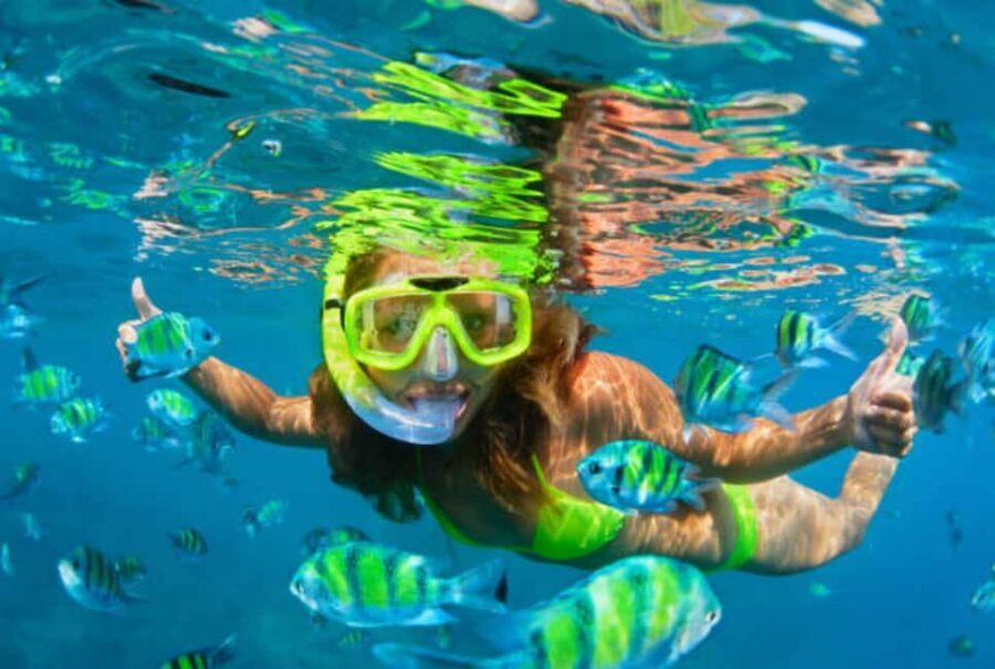 Puerto Plata: Snorkeling Excursion to Sosúa beach - Two reef stops: what you should expect to see in the water