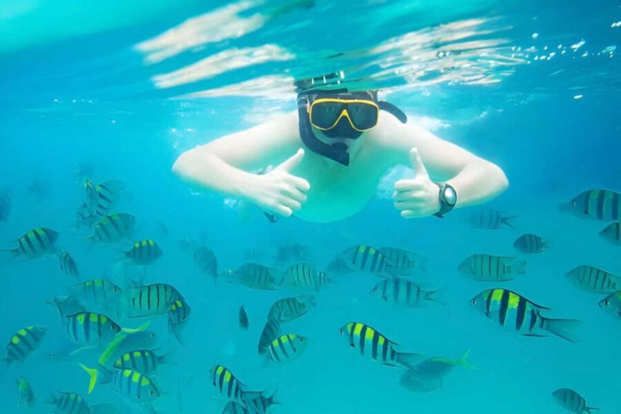Puerto Plata: Snorkeling Excursion to Sosúa beach - The 3-hour flow: pickup, boat rides, and when you’re actually in the water
