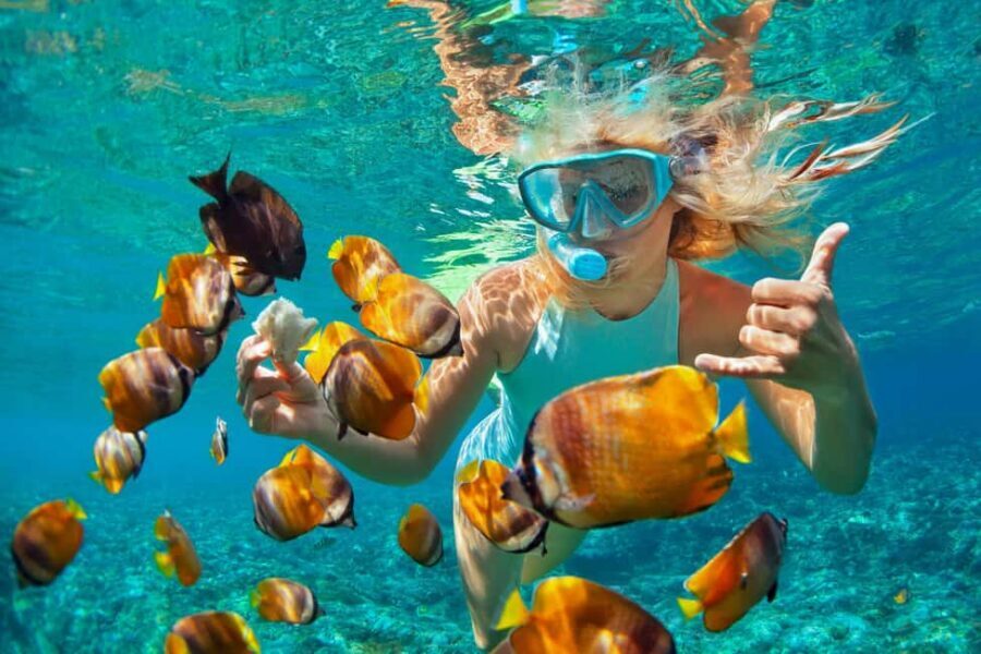Puerto Plata: Sosúa Catamaran Day Trip with Lunch and Drinks - Key things to know before you go
