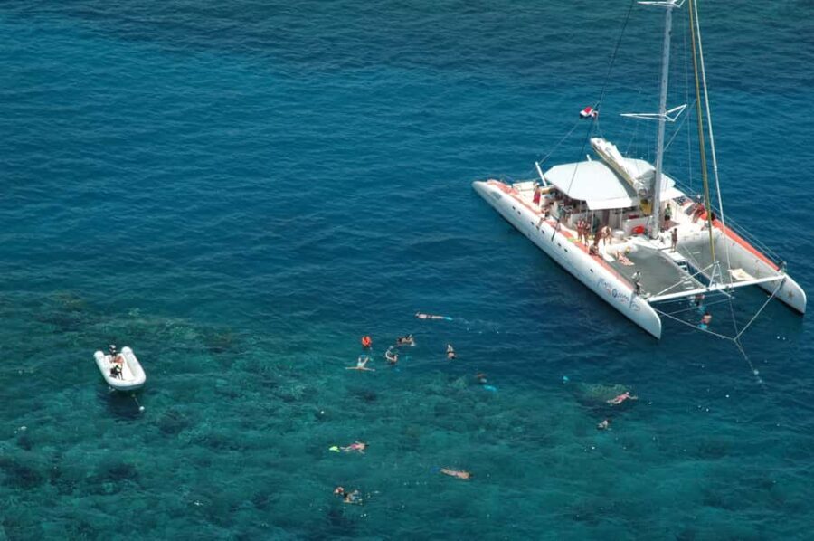 Puerto Plata: Sosúa Catamaran Day Trip with Lunch and Drinks - Snorkeling at the reef stop: gear is included, expectations matter