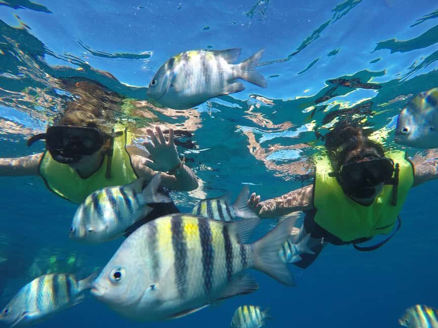 Puerto Plata: Sosúa Catamaran Day Trip with Lunch and Drinks - Crew, music, and photos: where the experience earns its rating