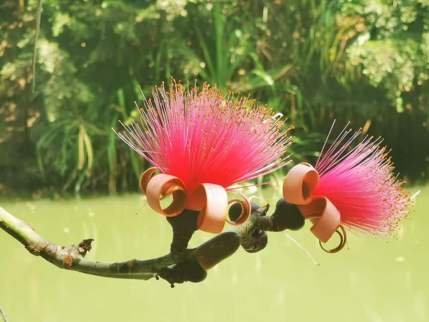 Puerto Plata: Taino Valley and Dominican Flavor Experience - A Mix of Nature, Flavor, and a Quick Swim