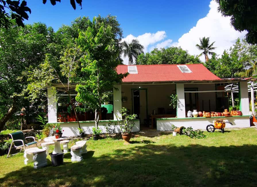 Puerto Plata: Taino Valley and Dominican Flavor Experience - Key Things You’ll Really Notice