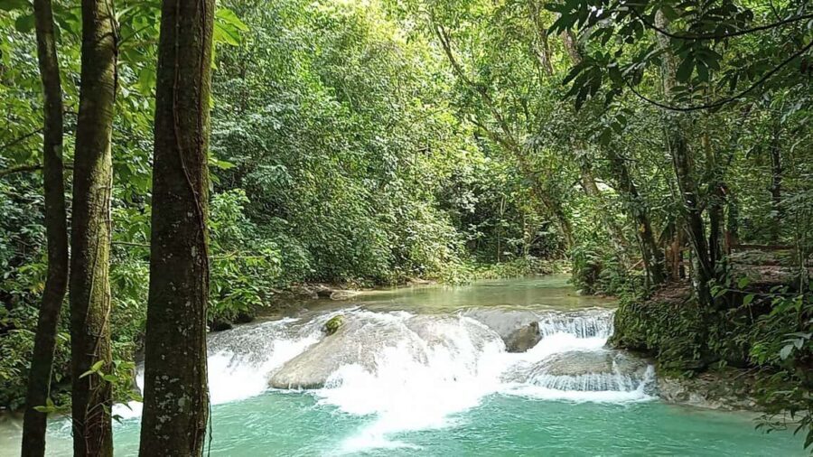 Puerto Plata: Taino Valley and Dominican Flavor Experience - Coffee and Cigars: The Process Lesson You Can Taste