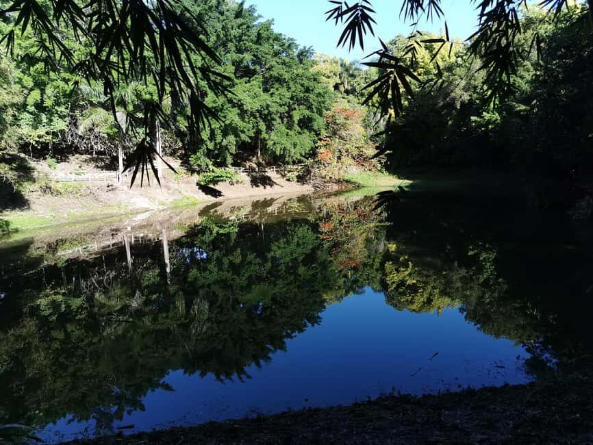 Puerto Plata: Taino Valley and Dominican Flavor Experience - Casa Antigua Lunch: Woodfire Comfort in an Old Dominican House