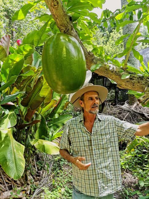 Puerto Plata: Taino Valley and Dominican Flavor Experience - From Pickup in Sosúa to the Mountains: The Ride Sets the Tone