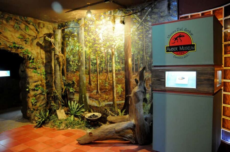 Puerto Plata Tour: History, Culture and Cable Car Ride - Amber Museum fossils: a clever way to beat the boring museum problem