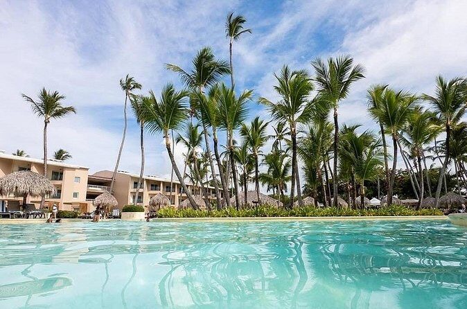 (PUJ) Punta Cana Airport Private Transfers to Hotels - What the Feedback Emphasizes (And Why It Matters)