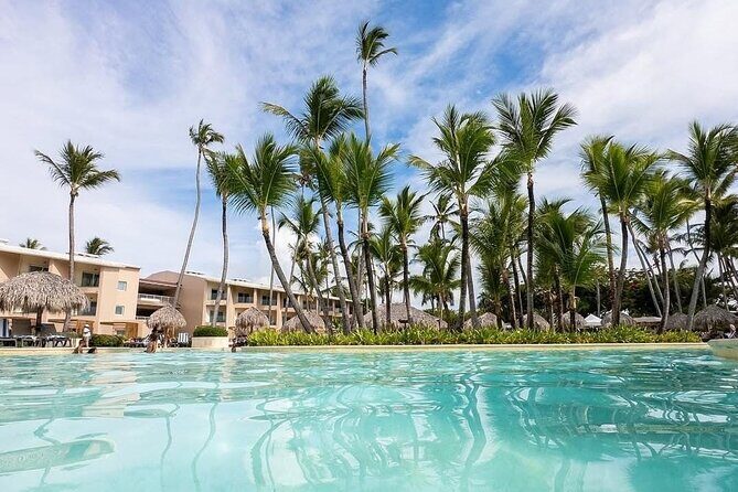 (PUJ) Punta Cana Airport Private Transfers to Hotels - The Pickup Routine: Customs, a Sign, and a 24/7 System