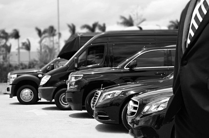 Punta Cana Airport Pick Up - Hotel Transportation Service - Should You Book Shelting Tours for Your Punta Cana Arrival?