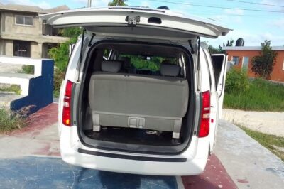 Punta Cana Airport PUJ Transfer Roundtrip to Hotels - After you land: meeting your driver and using the mobile ticket