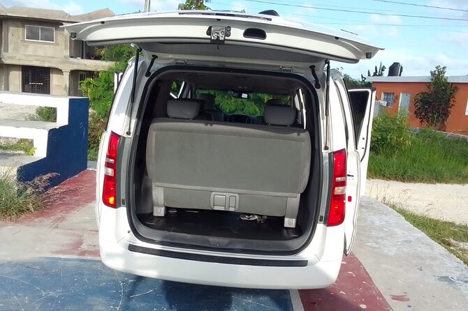 Punta Cana Airport PUJ Transfer Roundtrip to Hotels - After you land: meeting your driver and using the mobile ticket