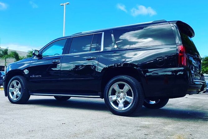 Punta Cana Airport Transfer Bavaro Suburban Trip - Where the Transfer Fits Best (And Who Might Find It Less Ideal)