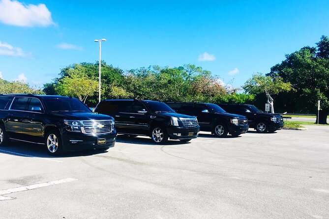 Punta Cana Airport Transfer Bavaro Suburban Trip - Round-Trip Convenience for Real Vacation Time