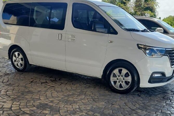 Punta Cana Airport Transfer Bavaro Van - From the arrivals hall to your lobby: what happens first