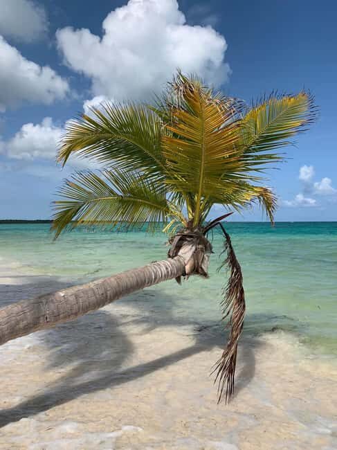 Punta Cana: All Inclusive Saona Island Experience - Playa Palmilla Natural Pool: Waist-Deep Water and Starfish Viewing
