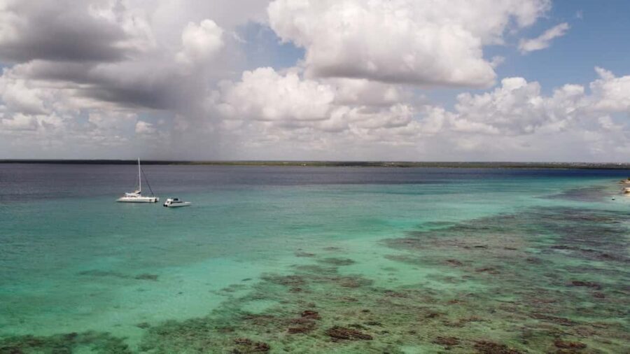Punta Cana: All Inclusive Saona Island Experience - What’s Likely to Fit You Best