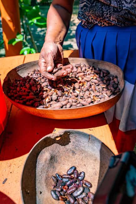 Punta Cana: Bavaro Runners Safari Tour - Lunch at a typical Dominican home: buffet comfort with real flavors