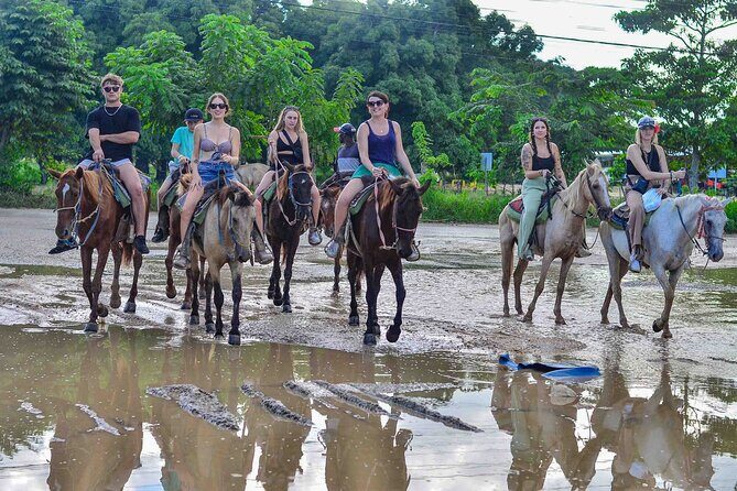 Punta Cana Beach Horseback Ride Paradise Coast Experience - Matching You with the Right Horse (Even If You’re Brand New)