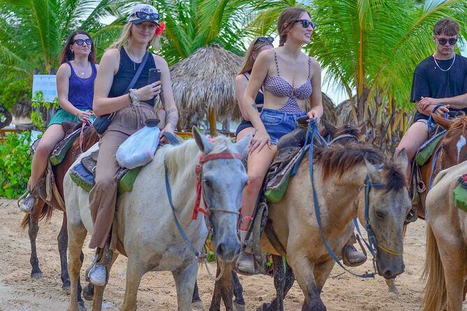 Punta Cana Beach Horseback Ride Paradise Coast Experience - The Trail Ride: Palm Shade, Ocean Air, and Calm Guidance