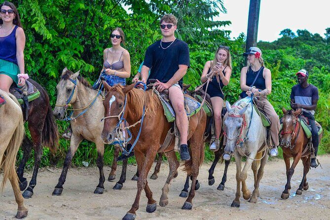 Punta Cana Beach Horseback Ride Paradise Coast Experience - What’s Included vs. What You Must Bring